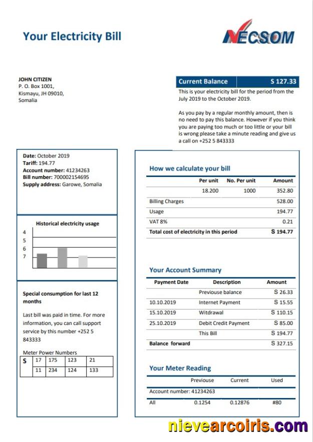 Somalia NESCOM Company electricity utility bill